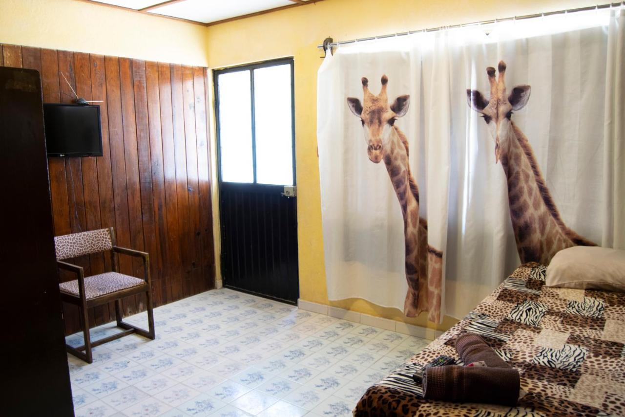 Cuartos Levana La Pazアパートメント エクステリア 写真