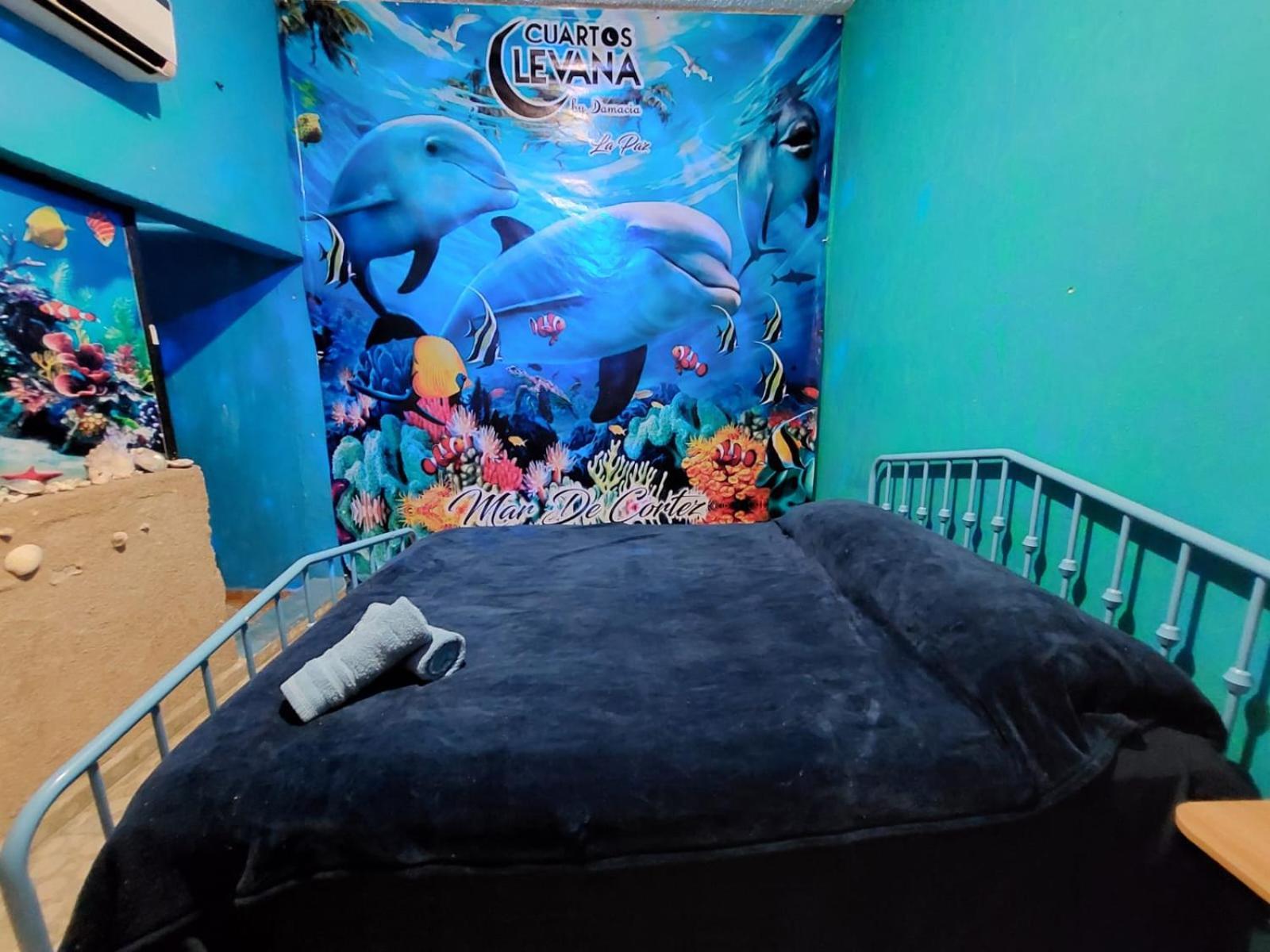 Cuartos Levana La Pazアパートメント エクステリア 写真